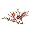 LEGO BOTANICALS 11510 Magnolia Branches