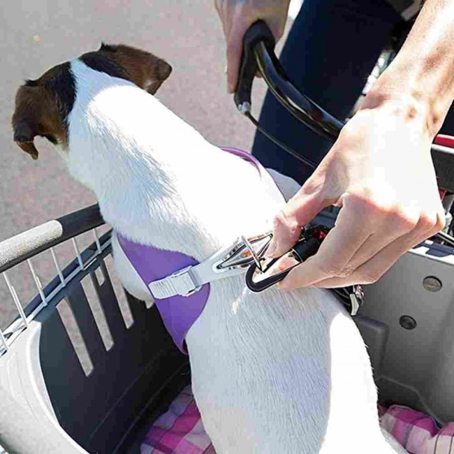 FERPLAST Atlas Bike 20 Rapid - bicycle basket for animals FERPLAST Atlas Bike 20 Rapid - bicycle basket for animals