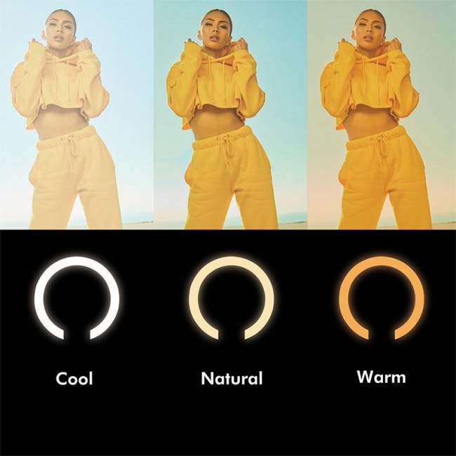 LogiLink AA0156 lighting ring 95 LED LogiLink AA0156 lighting ring 95 LED