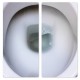 Frischer toilet cleaner 1l Frischer toilet cleaner 1l