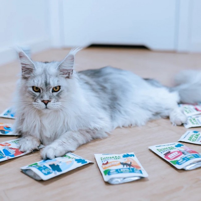 ANIMAL ISLAND Turkey in broth - wet cat food - 40x85g ANIMAL ISLAND Turkey in broth - wet cat food - 40x85g