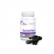 VETEXPERT GeriatiVet Cat - supporting preparation for older cats - 60 caps.