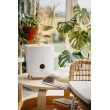 Adler AD 7972 humidifier Ultrasonic 4 L White 23 W