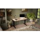 Desk with electric height adjustment MOON LONG 150x80x72-120 black/wotan Desk with electric height adjustment MOON LONG 150x80x72-120 black/wotan