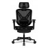 COUGAR Gaming/Office Chair Speeder, Mesh, Black