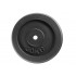 20KG CAST IRON PLATE WITH TWO HAND GRIPS