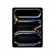 Apple iPad 13-inch Pro Wi Fi + Cellular 256GB with standard glass - Space Black