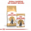 ROYAL CANIN British Shorthair packet 12x85g
