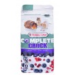 VERSELE LAGA Complete Crock Berry - treat for rodents - 50g
