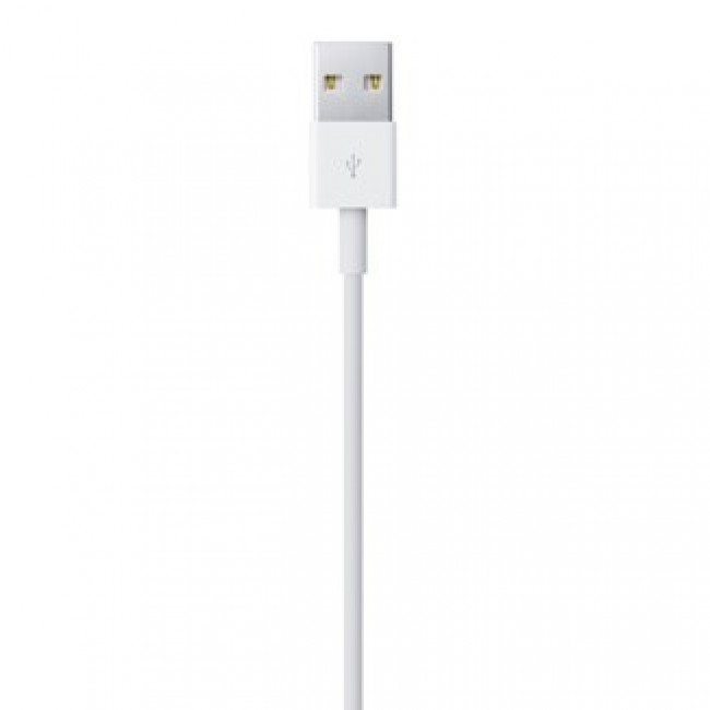 Apple Lightning to USB Cable (0.5 m)