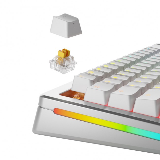 Glorious Gaming Glorious Panda HE Switches - 36 pieces Glorious Gaming Glorious Panda HE Switches - 36 pieces