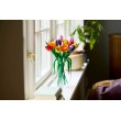 LEGO BOTANICALS 11501 Tulip Bouquet