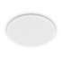 Philips Valen Ceiling Light 22W