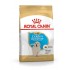 ROYAL CANIN Golden Retriever Puppy - dry dog food - 12 kg