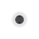 Apple Lightning to 3.5 mm Headphone Jack Adapter Apple Lightning to 3.5 mm Headphone Jack Adapter