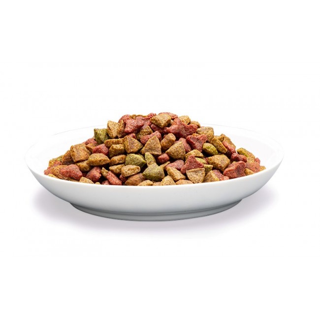 PREVITAL Senior Salmon - dry cat food - 1,4kg PREVITAL Senior Salmon - dry cat food - 1,4kg