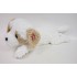 Havanese Dog 60cm Lying 010747 73043