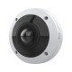 Axis M4317-PLVE Dome IP security camera Indoor 2160 x 2160 pixels Ceiling/wall Axis M4317-PLVE Dome IP security camera Indoor 2160 x 2160 pixels Ceiling/wall