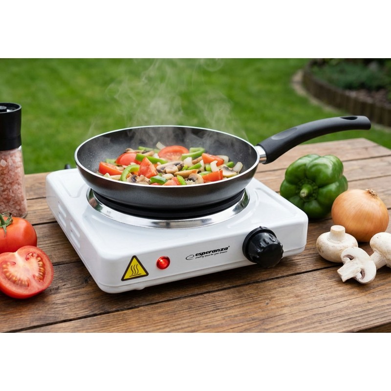 Esperanza EKH013W White Electric stove