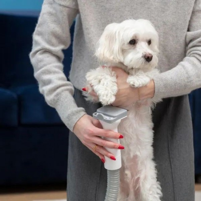 MPM MOD-1000 HOME CARE DEVICE FOR DOGS AND CATS