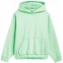 Women's sweatshirt 4F light green 4FSS23TSWSF255 42S L