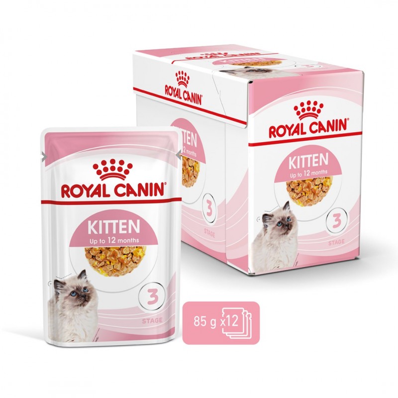 Royal Canin FHN Kitten Instinctive in jelly - wet food for kittens - 12x85g