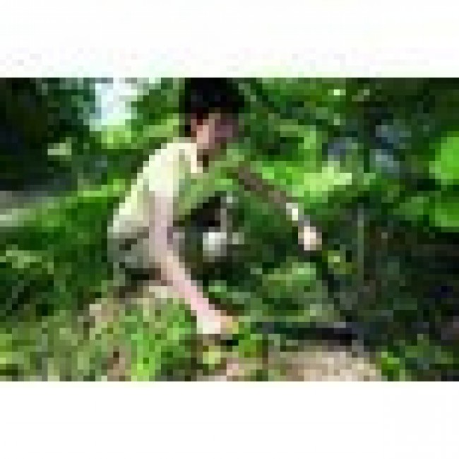 Fiskars PowerGear Bypass Lopper, Hook Head (M) L74 Fiskars PowerGear Bypass Lopper, Hook Head (M) L74