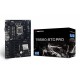 BIOSTAR TB560-BTC PRO motherboard
