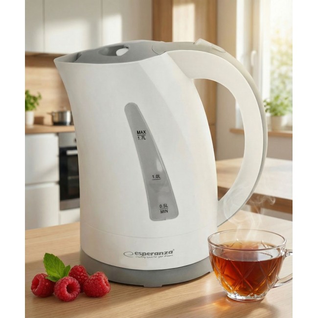 Esperanza EKK022 electric kettle 1.7 L 2200 W Grey, White