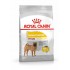 ROYAL CANIN CCN Dermacomfort Medium - Dry dog food 12 kg