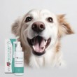 JM SANTE Vet Protector Fresh - dental solution for oral hygiene for dogs and cats 100 ml
