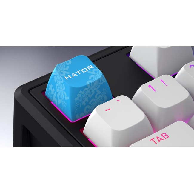 HATOR Skyfall 80 MAG ULTRA 8K keyboard Gaming USB QWERTY US English Black, White HATOR Skyfall 80 MAG ULTRA 8K keyboard Gaming USB QWERTY US English Black, White