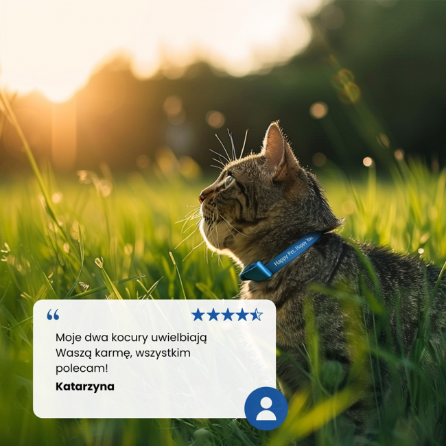 FARMINA N&D PRIME CAT WILD BOAR & APPLE ADULT - dry cat food - 5 kg