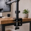 Esperanza ERW017 Desktop mount for monitor 10-27'' up to 8kg