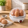 Esperanza EKE001 egg cooker 7 egg(s) 350 W White