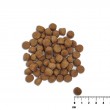 VETEXPERT Raw Paleo Healthy Grain Puppy Salmon and barley - dry dog food - 10 kg