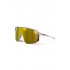 Okulary JULBO DENSITY szary - L