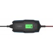 Ansmann 1001-0144 vehicle battery charger 6 - 14 V Black