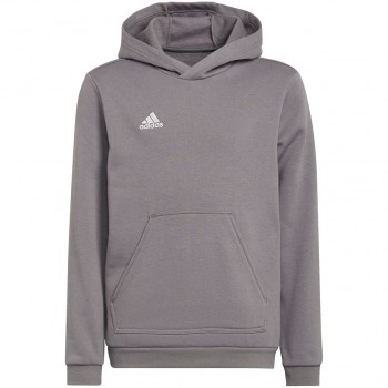 Sweatshirt for kids adidas Entrada 22 Hoody gray H57515 152cm