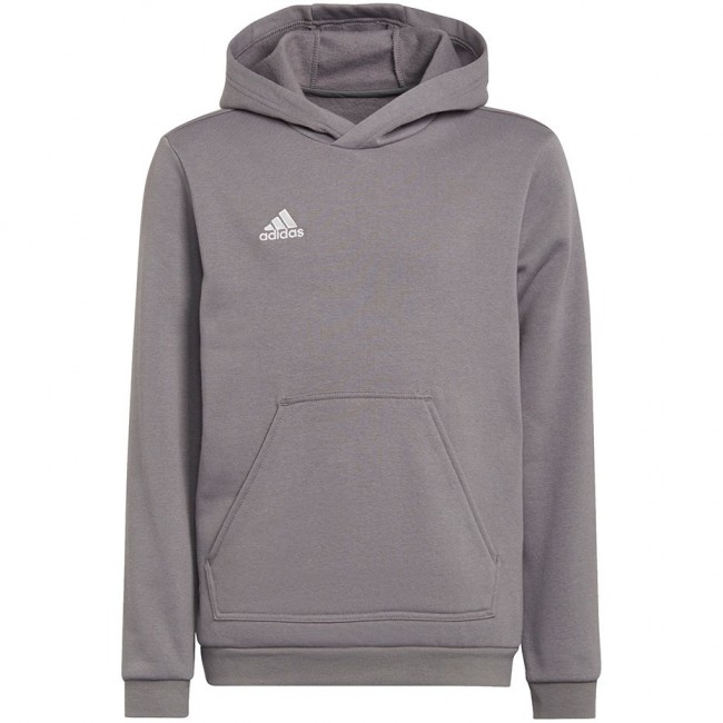 Sweatshirt for kids adidas Entrada 22 Hoody gray H57515 152cm