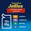 Purina Felix Sensations Mix Turkey, Mackerel, Lamb, Herring - Wet Cat Food - 12x85 g