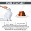 PURINA Gourmet Revelations Chunks in jelly with salmon - wet cat food - 2x57g