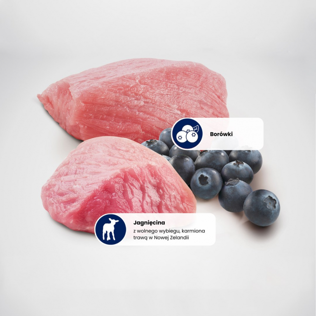 FARMINA N&D Prime Lamb & Blueberry - dry cat food - 5 kg