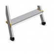 AWTOOLS AW23029 ladder
