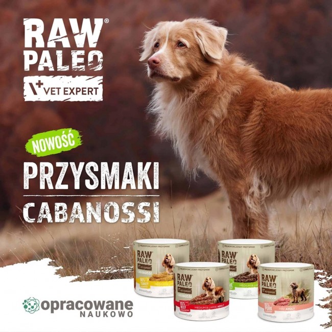 VETEXPERT Raw Paleo Cabanossi Beef Mini Mono - dog treat - 100g
