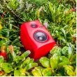 Monkey Banana Gibbon 5 2-way Red Wired 80 W