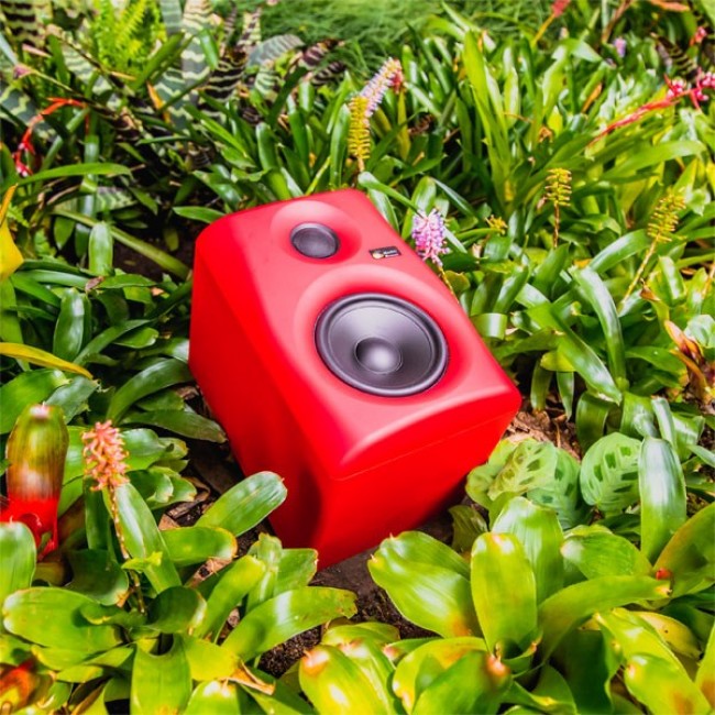 Monkey Banana Gibbon 5 2-way Red Wired 80 W