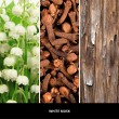 Refill for reed diffuser 250 ml WHITE MUSK MILLEFIORI