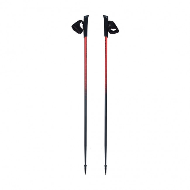 Viking Poles Pro-Trainer Nordic Walking