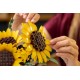 LEGO BOTANICALS 11502 Sunflower Bouquet